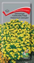 Бархатцы тонколистный Лимонный самоцвет  (Поиск)