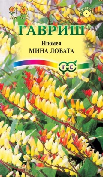 Семена Ипомея Мина Лобата (Гавриш)