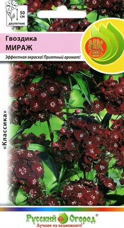 Семена Гвоздика турецкая Мираж НК