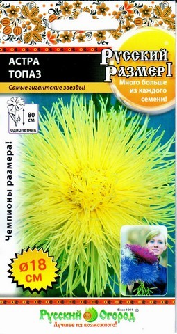 Семена Астра Топаз НК