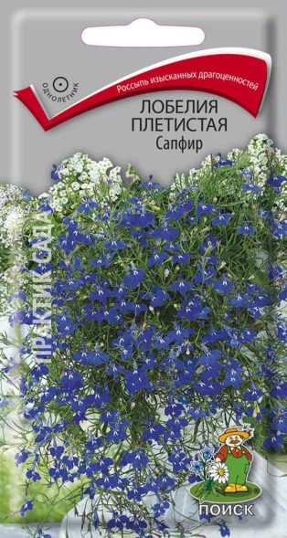 Семена Лобелия плетистая &amp;quot;Сапфир&amp;quot; (Поиск)