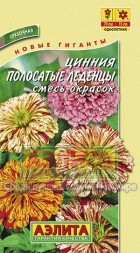Цинния Полосатые леденцы (Аэлита)