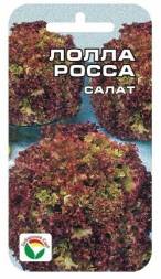 Салат Лолла Росса (Сиб сад)