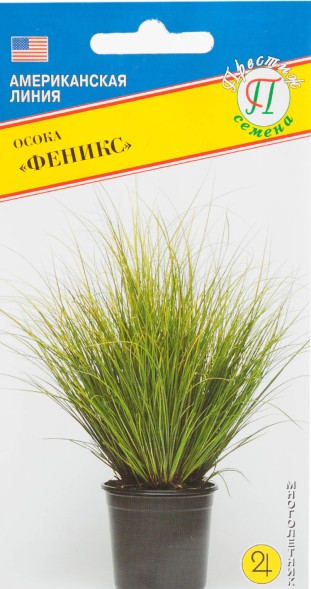Семена Осока Феникс (Престиж)