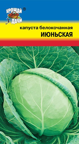 Семена Капуста белокочанная Июньская УУД