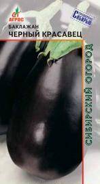 Баклажан Черный красавец (Агрос)