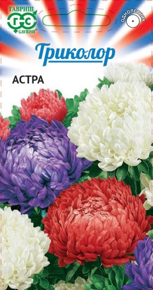 Семена Астра Триколор пионовидная (Гавриш)