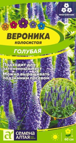 Семена Вероника колосистая Голубая (Семена Алтая)