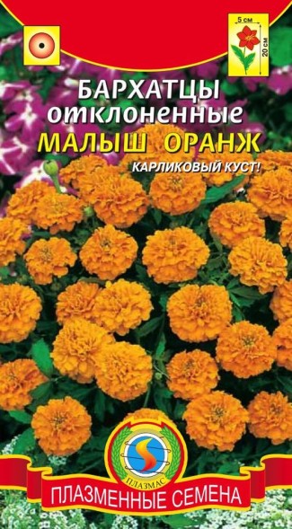 Семена Бархатцы отклоненные Малыш Оранж ПЛ