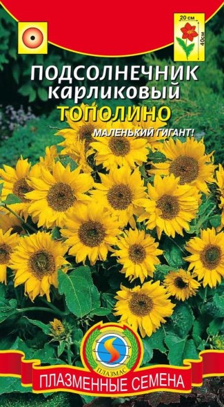 Семена Подсолнечник карликовый Тополино ПЛ