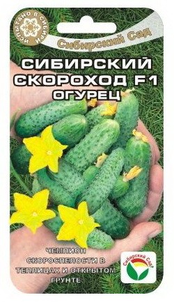 Семена Огурец Сибирский скороход F1 (Сиб сад)