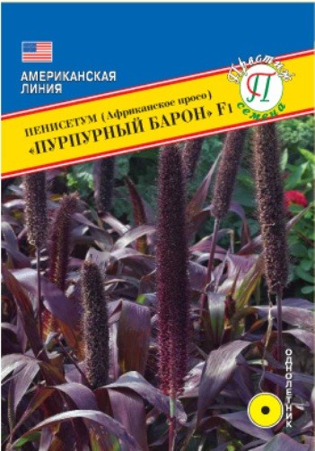 Семена Пенисетум Пурпурный барон F1 (Престиж)