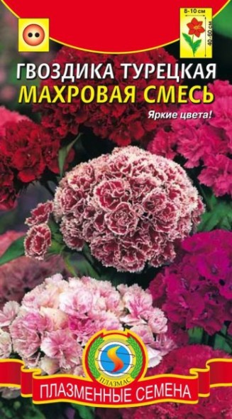 Семена Гвоздика турецкая (махровая смесь) ПЛ