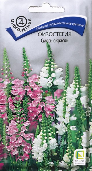 Семена Физостегия Смесь окрасок (Поиск)