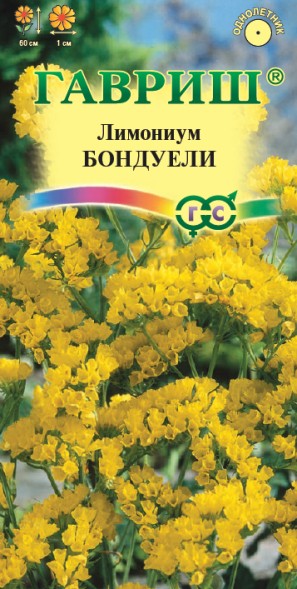 Семена Лимониум (статица) Бондуели желтая (Гавриш)