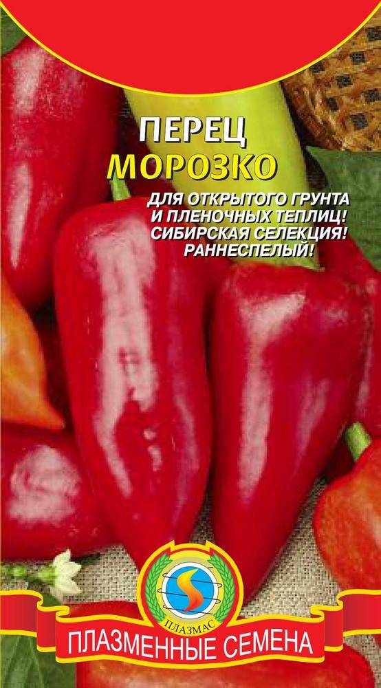 Перец Морозко Отзывы Фото Урожайность