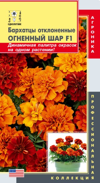 Семена Бархатцы отклоненные Огненный шар F1 ПЛ