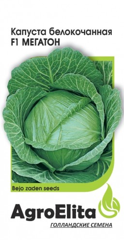 Капуста белокочанная Мегатон F1 (АгроЭлита) Капуста белокочанная Мегатон F1 (АгроЭлита)