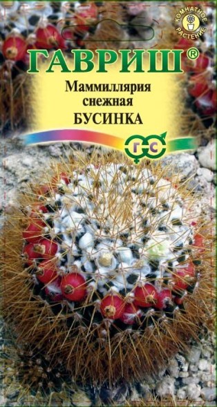 Семена Маммиллярия Бусинка (Гавриш)