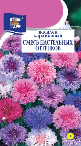Семена Василек карликовый смесь Пастельных оттенков УУД