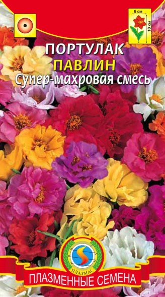 Семена Портулак супер-махровый Павлин смесь ПЛ
