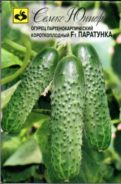 Семена Огурец Паратунка F1 (Семко)
