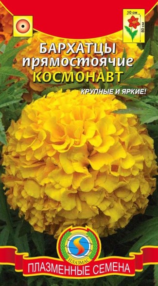 Семена Бархатцы прямостоячие Космонавт ПЛ