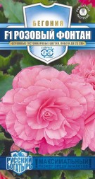 Бегония клубневая Розовый фонтан F1 (Гавриш) Русский богатырь