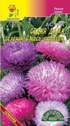 Астра Седая Дама смесь ЦC