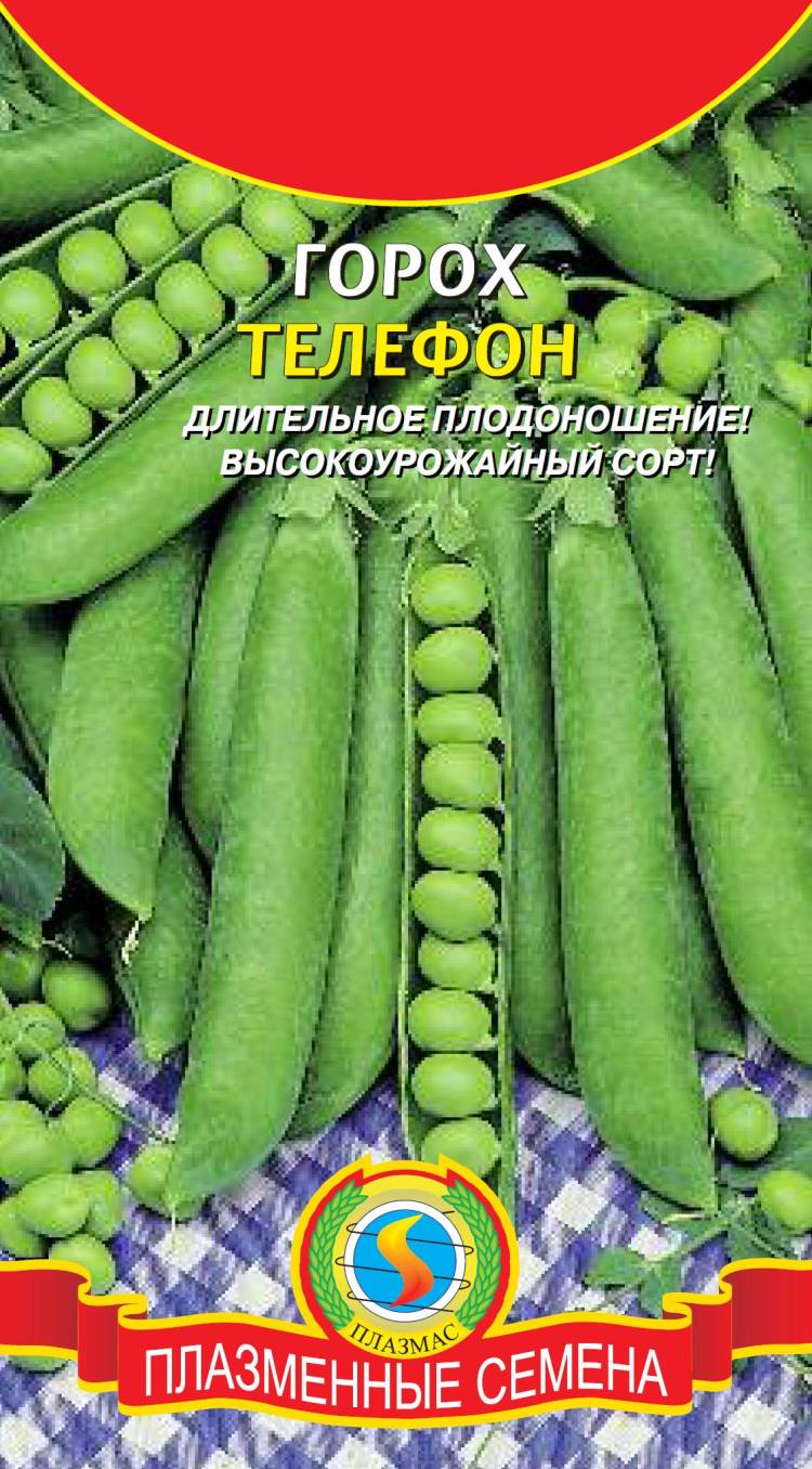 Семена Гороха Купить