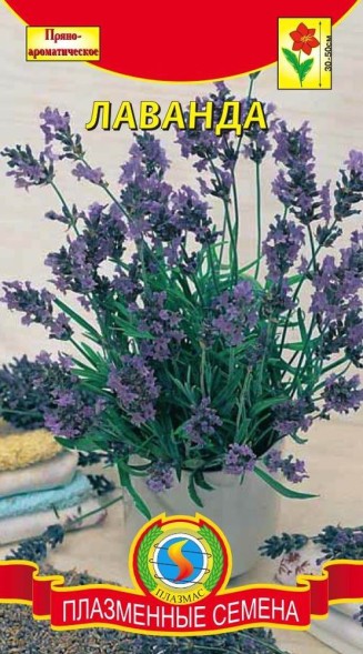 Семена Лаванда ПЛ