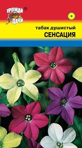 Семена Табак Душистый Сенсация УУД