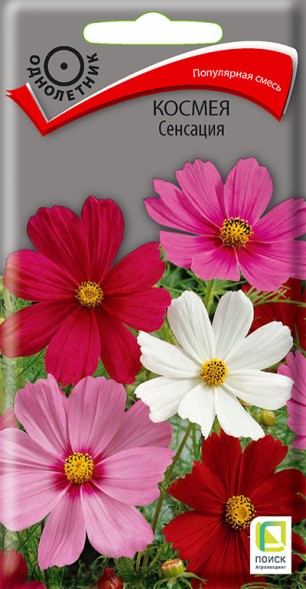 Семена Космея Сенсация (Поиск)