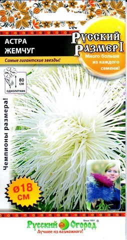 Семена Астра Жемчуг НК