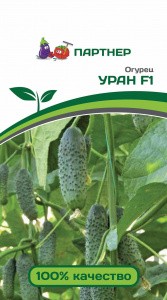 Семена Огурец УРАН F1 (Партнер)