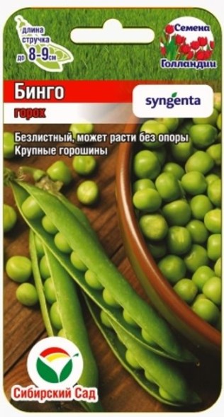 Семена Горох Бинго (Сиб Сад)