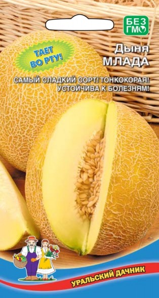 Семена Дыня Млада УД