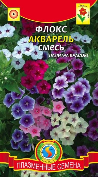 Семена Флокс Акварель смесь ПЛ