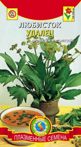 Семена Любисток удалец ПЛ