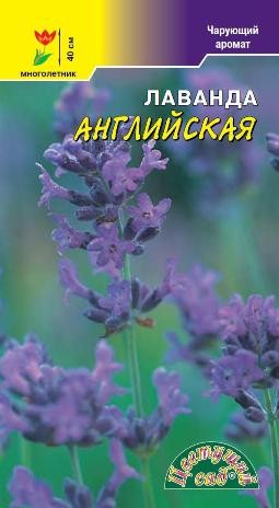 Семена Лаванда Английская ЦС