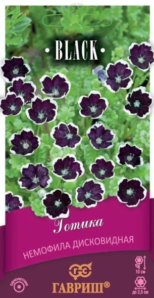 Семена Немофила Готика дисковидная (Гавриш)