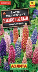 Люпин Низкорослый смесь (Аэлита)