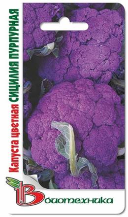 Капуста цветная Сицилия Пурпурная (Биотехника)