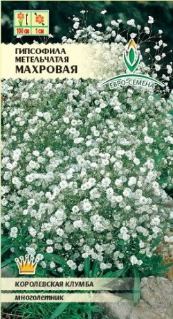 Семена Гипсофила Махровая метельчатая (Евро-семена)