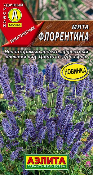 Семена Мята Флорентина (Аэлита)