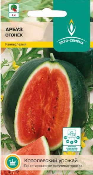 Семена Арбуз Огонек (Евро-семена)