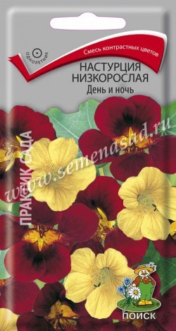 Семена Настурция День и ночь низкорослая (Поиск)