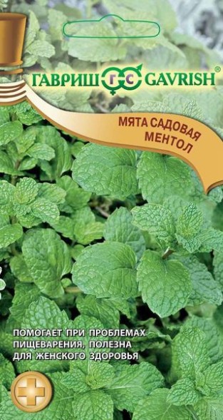 Семена Мята Ментол садовая 0,05г. (Гавриш)