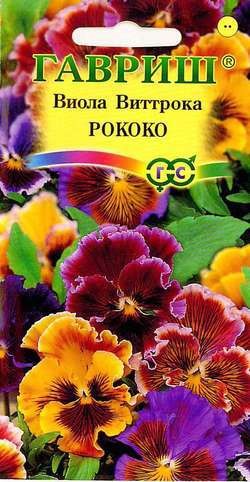 Семена Виола Рококо (Гавриш)