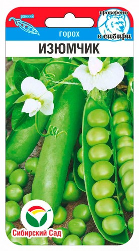 Семена Горох Изюмчик (Сиб сад)